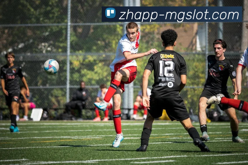 MG电子官网服务体系